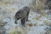 DSC_0016.JPG
