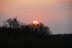 DSC_0195.JPG