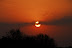 DSC_0190.JPG