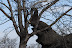 DSC_0368.JPG