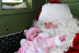 DSC_0242.JPG