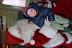 DSC_0042.JPG