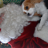 Holiday December 12 2009