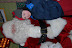 DSC_0091.JPG