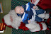 DSC_0168.JPG