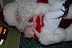 DSC_0234.JPG