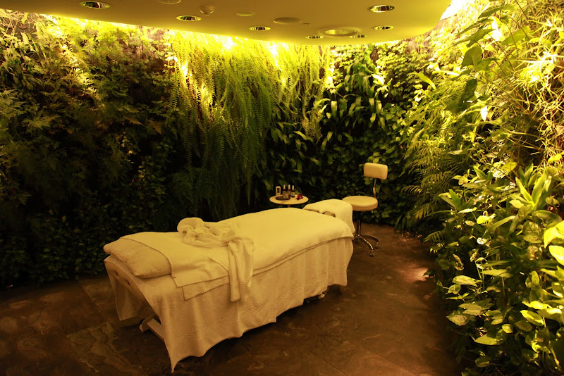 a massage table in a room with plants