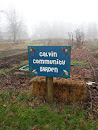 Calvin Community Garden