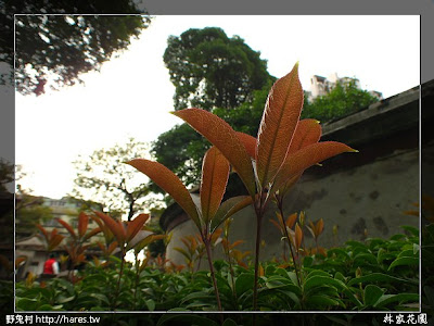 [台北-板橋] 林本源園邸 (林家花園) 中篇