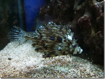 Photo0114