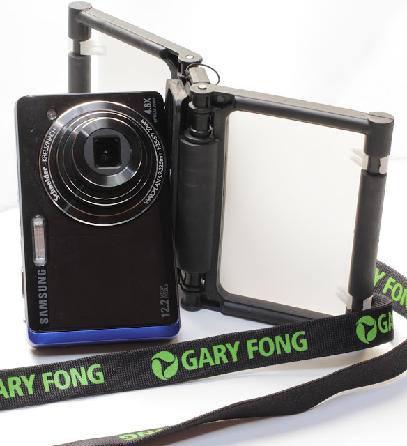 GARY FONG FLIP-CAGE IN VERTICAL POSITION