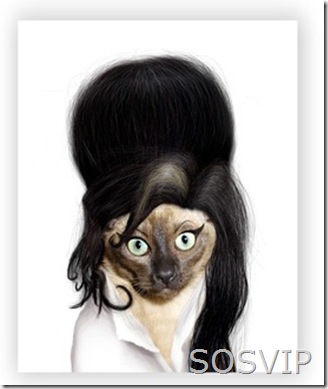 Amy Winehouse Amy Winehouse