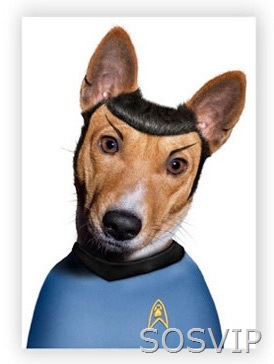 [Dr. Spock[4].jpg]