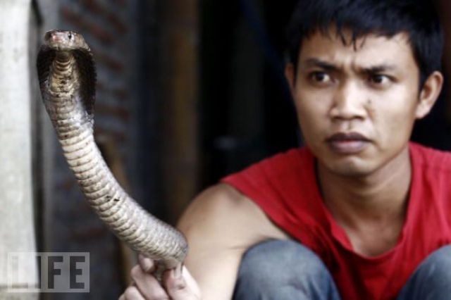 snakebourgers_640_21