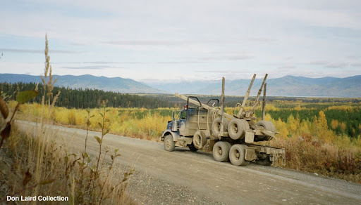 north-for-a-load-of-long-wood-wiliston-lake-in-the-background-northern-bc.jpg