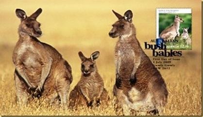 [clip_image0986.jpg]