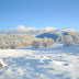 S3010043-1.jpg, Гледка от Врачанския Балкан - местност Пършевица / Landscape from Vratza mountain - Purshevitsa place, Bulgaria, landscape & nature