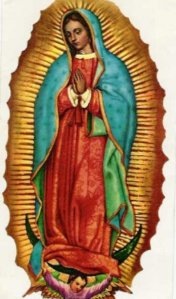 [guadalupe16373438_std12.jpg]