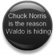 [Chuck Norris 5[2].jpg]
