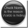 Chuck Norris 5