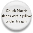 [Chuck Norris 7[2].jpg]