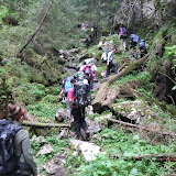 piatra criaului - curmatura 29 -30 mai -8.JPG