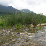 piatra criaului - curmatura 29 -30 mai -25.JPG