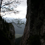 piatra criaului - curmatura 29 -30 mai -52.JPG