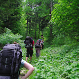 piatra criaului - curmatura 29 -30 mai -17.JPG