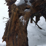 Retezat 19 -21 februarie 2010 -15.JPG