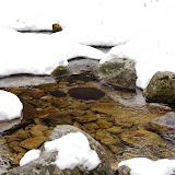 Retezat 19 -21 februarie 2010 -33.jpg