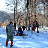 Siriu_Virgil_125.jpg