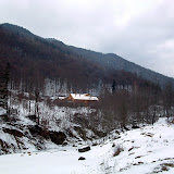 Siriu_Virgil_218.jpg