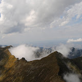 _DSC0227.JPG