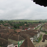 IMG_2529.jpg