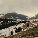 DSC_4860.jpg