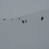IMG_7119.JPG