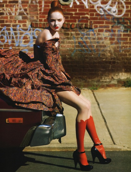 lily donald
