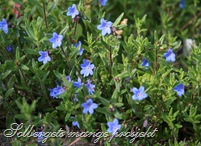 IMG_9756 IMG_9756
