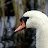 100_2839.JPG