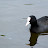 100_2816.JPG