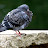 100_2821.JPG