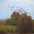 DSC00506.jpg