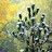 100_3110.JPG