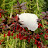 100_3112.JPG