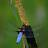 _DSC1285_f.jpg _DSC1285_f.jpg