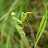 100_8233.JPG