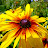 DSCF9333.JPG