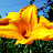 DSCF9443.JPG