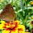 DSCF9338.JPG